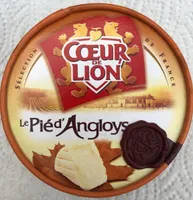 Le pié d'Angloys