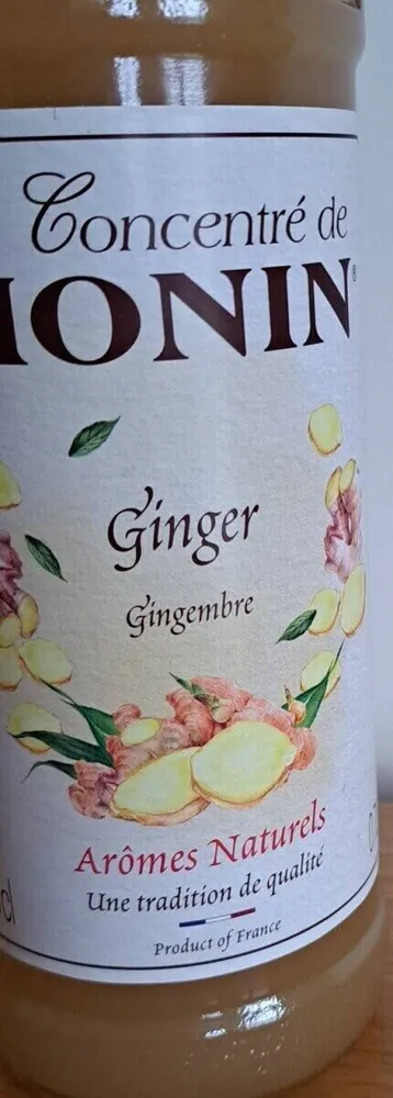 Le concentré de Monin - Gingembre
