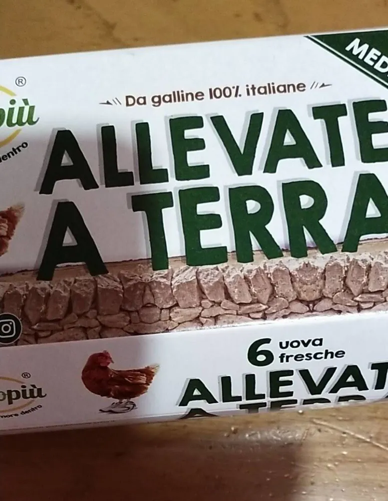 6 uova fresche da allevamento a terra