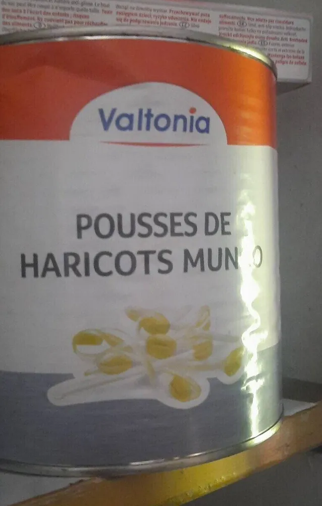 Pousse de haricots mungo