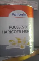 Pousse de haricots mungo