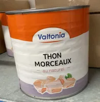 Thon morceaux