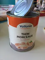 thon morceaux