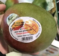 Mangue