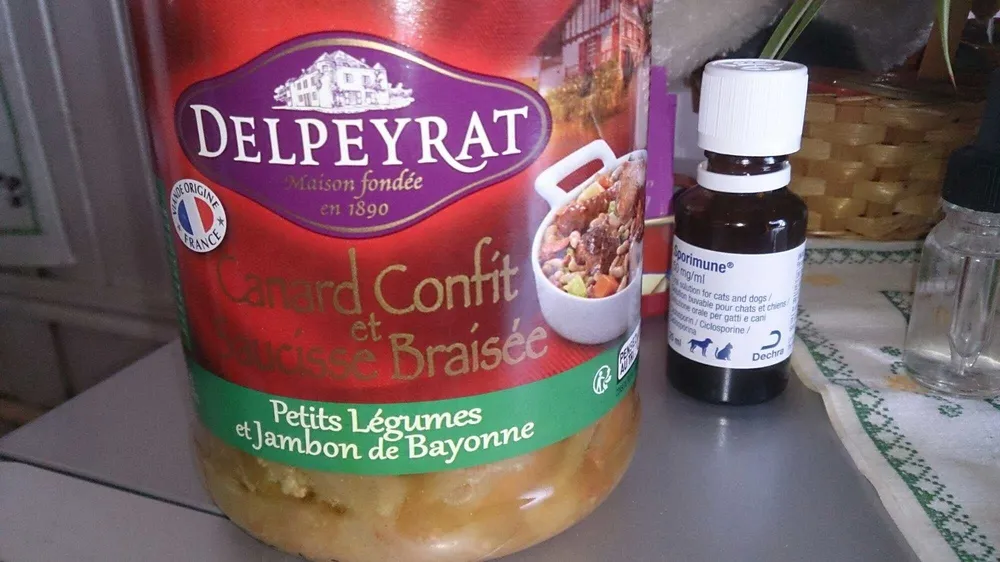 Delpeyrat confit de canard saucisse braisée légumes