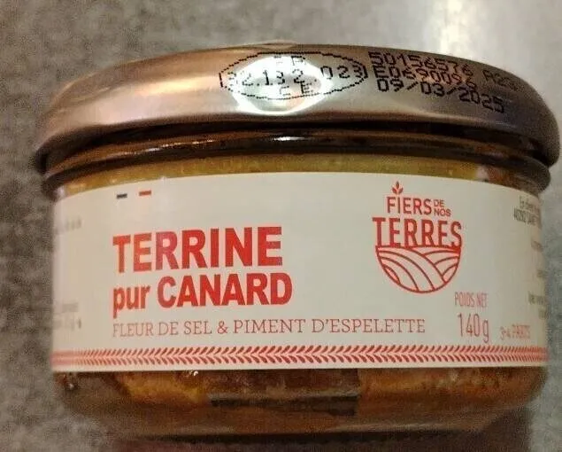 Terrine pur canard