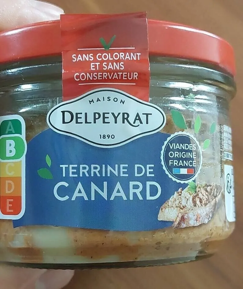 Terrine de canard