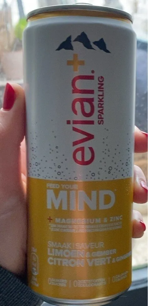 Evian+ Limette & Ingwer 33cl ALU