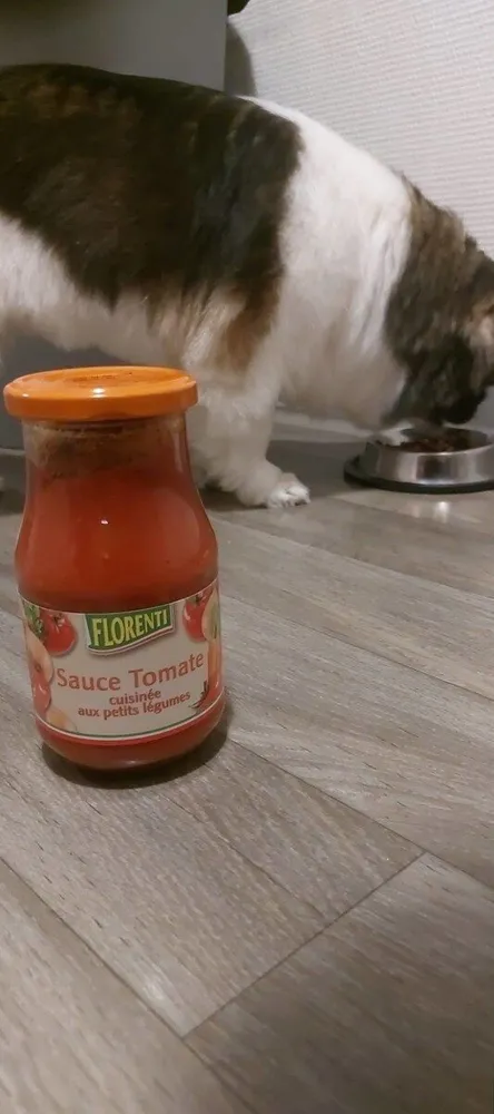 Sauce tomate aux légumes