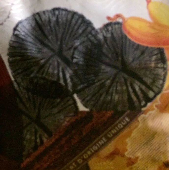Chocolat de couverture (pastilles)