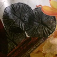 Chocolat de couverture (pastilles)