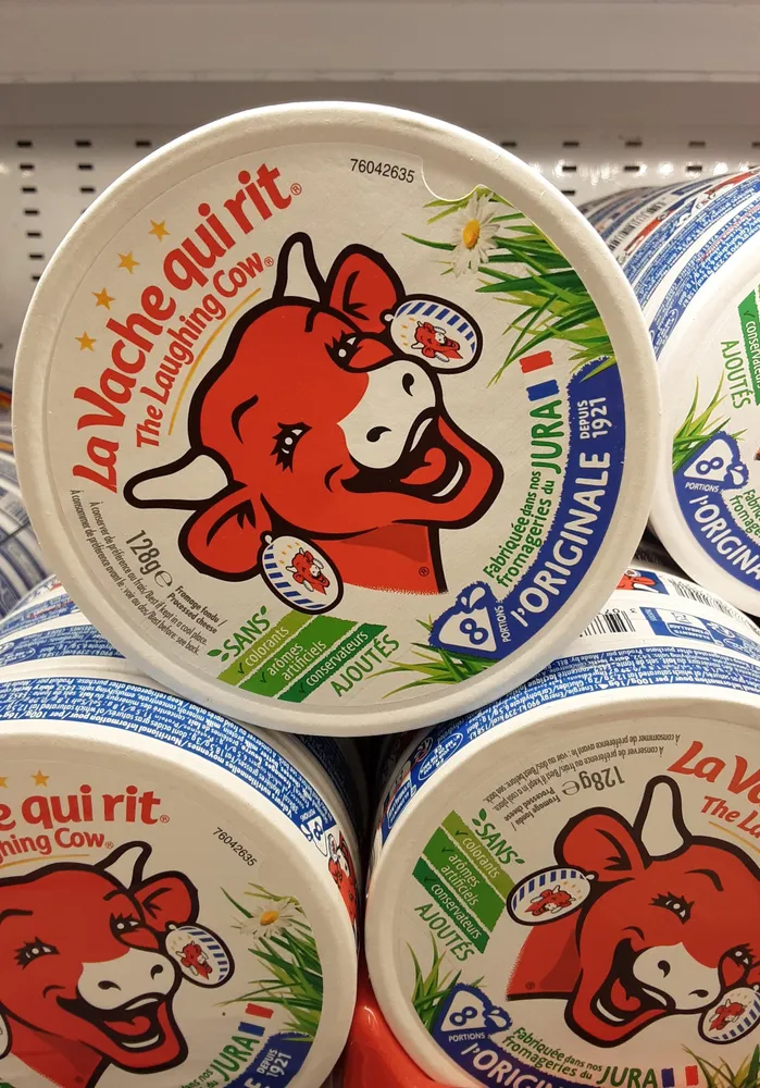 Fromage fondu
