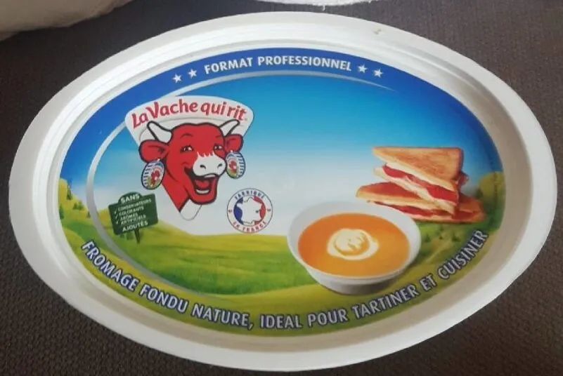Fromage fondu nature