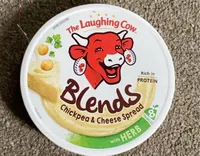 Blends chickpea and cheese spread