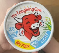 Creamy Spreadable Cheese Light