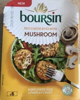 Hot cheese bites with mushroom