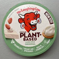 Vegan tyvený sýr