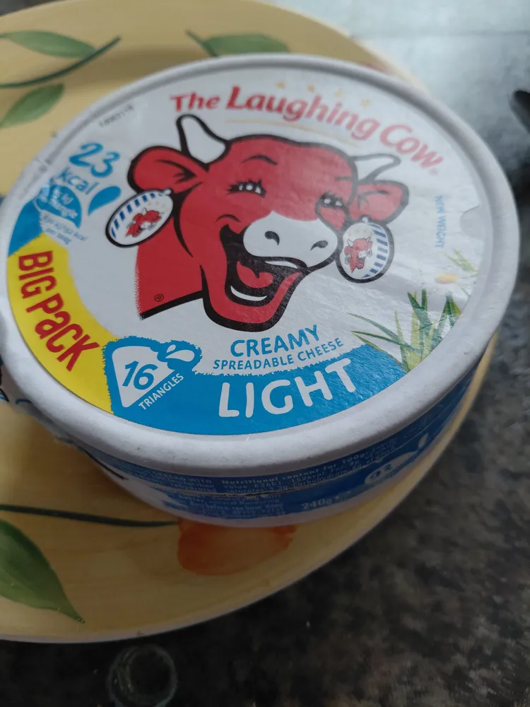 Creamy Spreadable Cheese Light