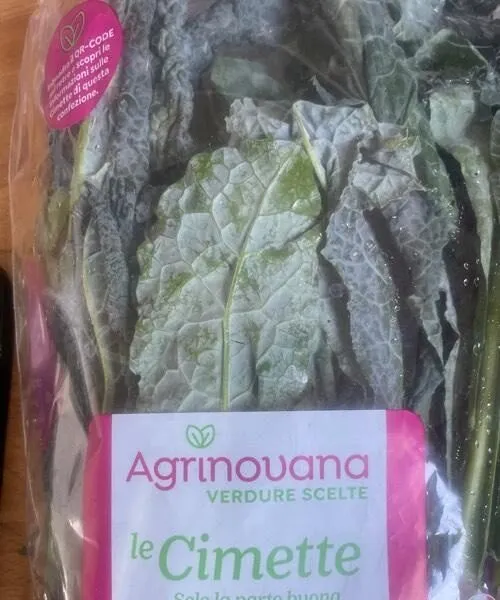 Cavolo nero