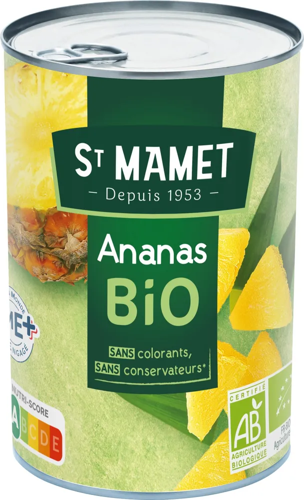 Ananas en morceaux BIO
