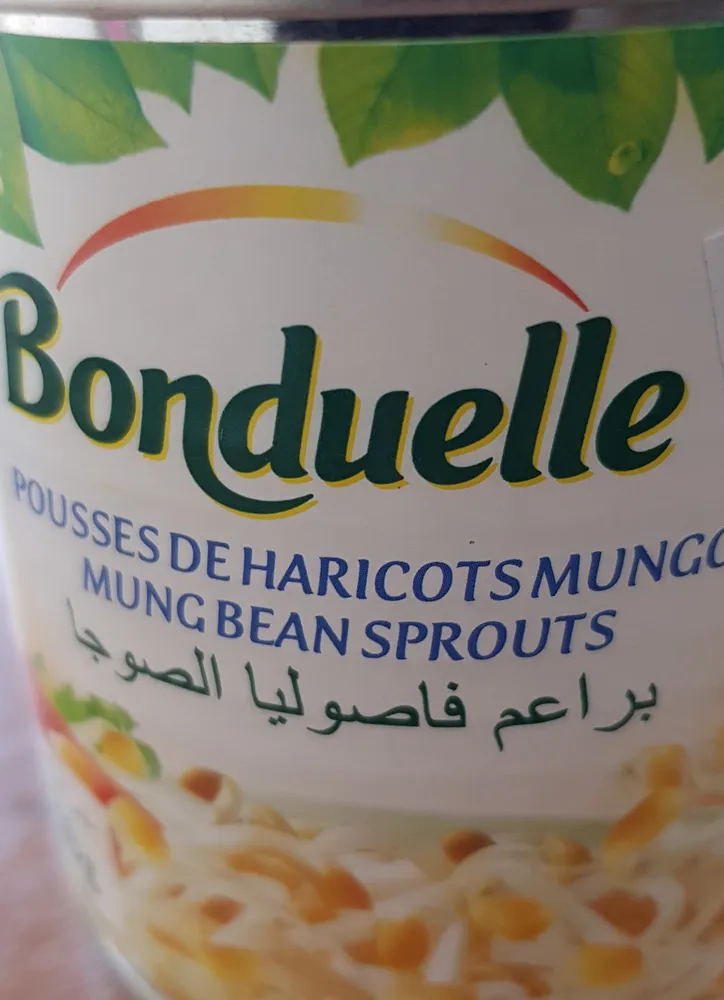 Pousse de haricots mungo