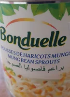 Pousse de haricots mungo