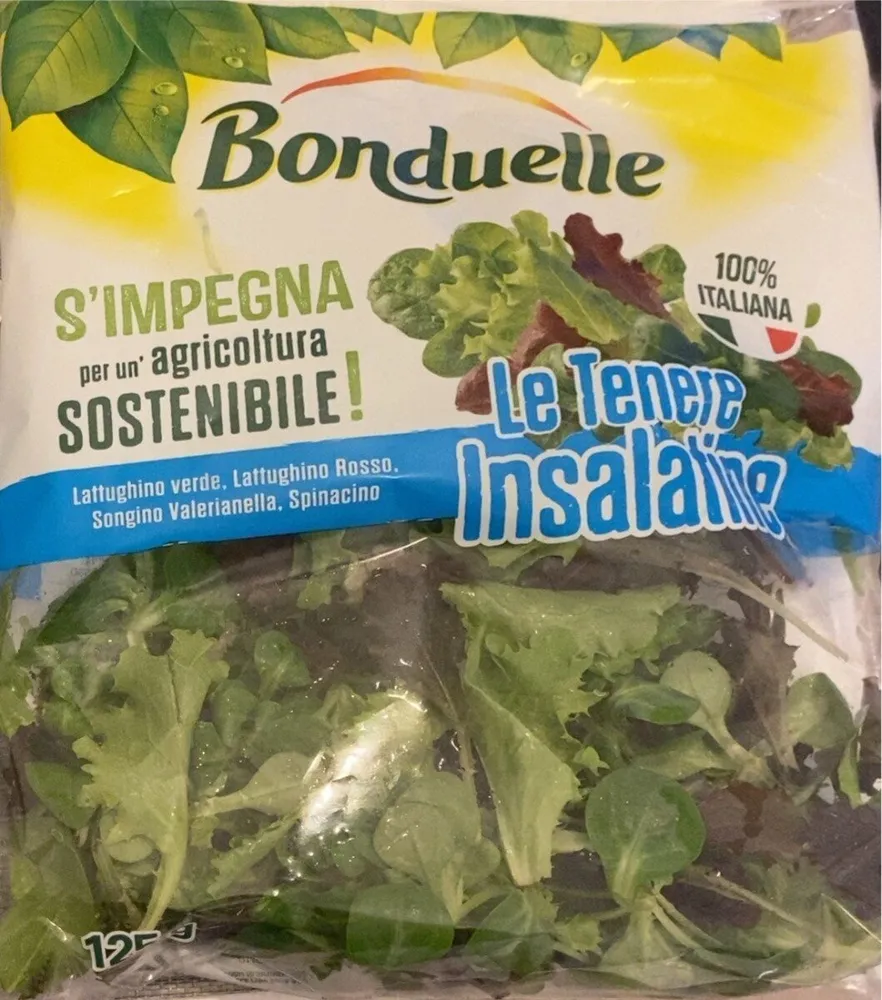 Le tenere insalatine