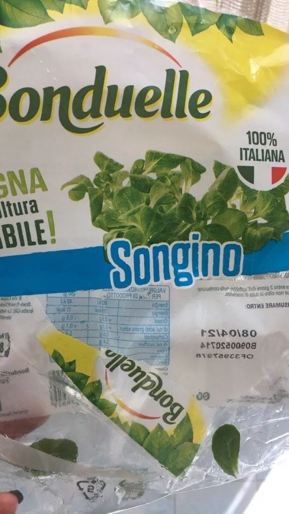 Songino