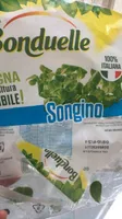 Songino