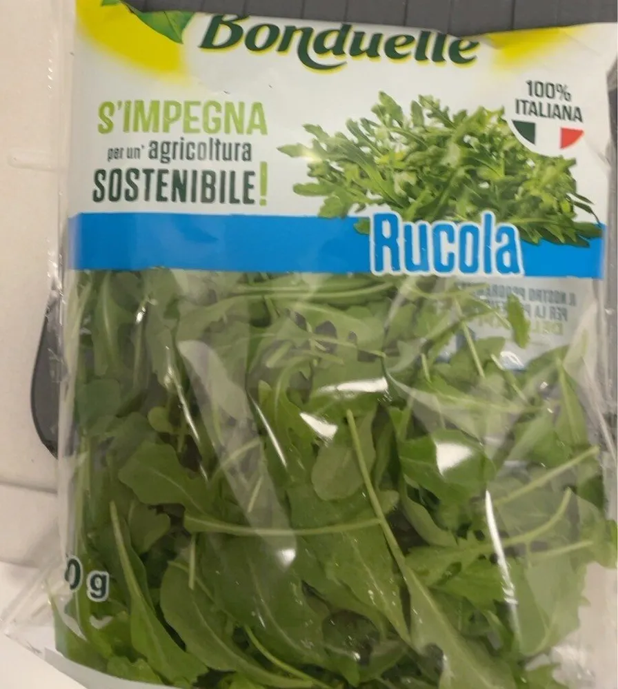 Ruccola