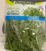 Ruccola