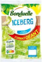Iceberg