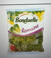 Cos ou la Laitue Romaine