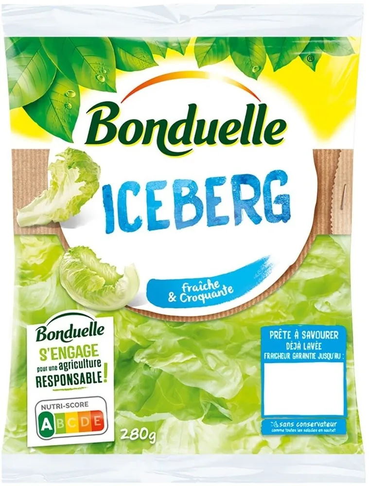 Iceberg