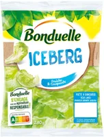 Iceberg