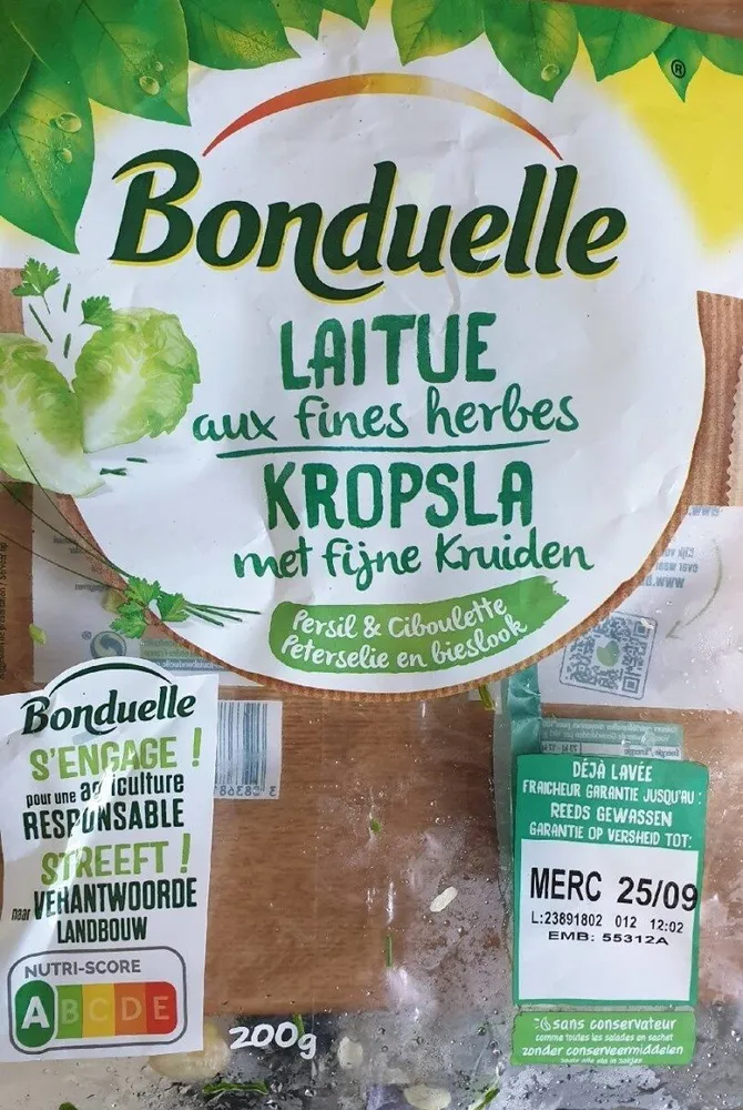 Laitue aux fines herbes