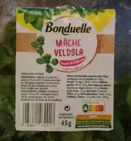 Mâche