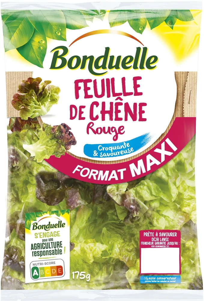 Feuille de Chêne Rouge