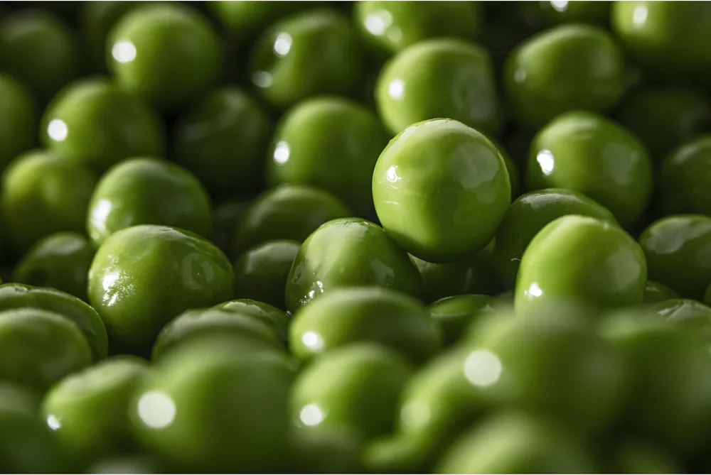 Touche de Petits pois