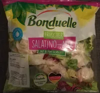 Frischer Salatino-Mix