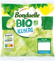 Iceberg Bio