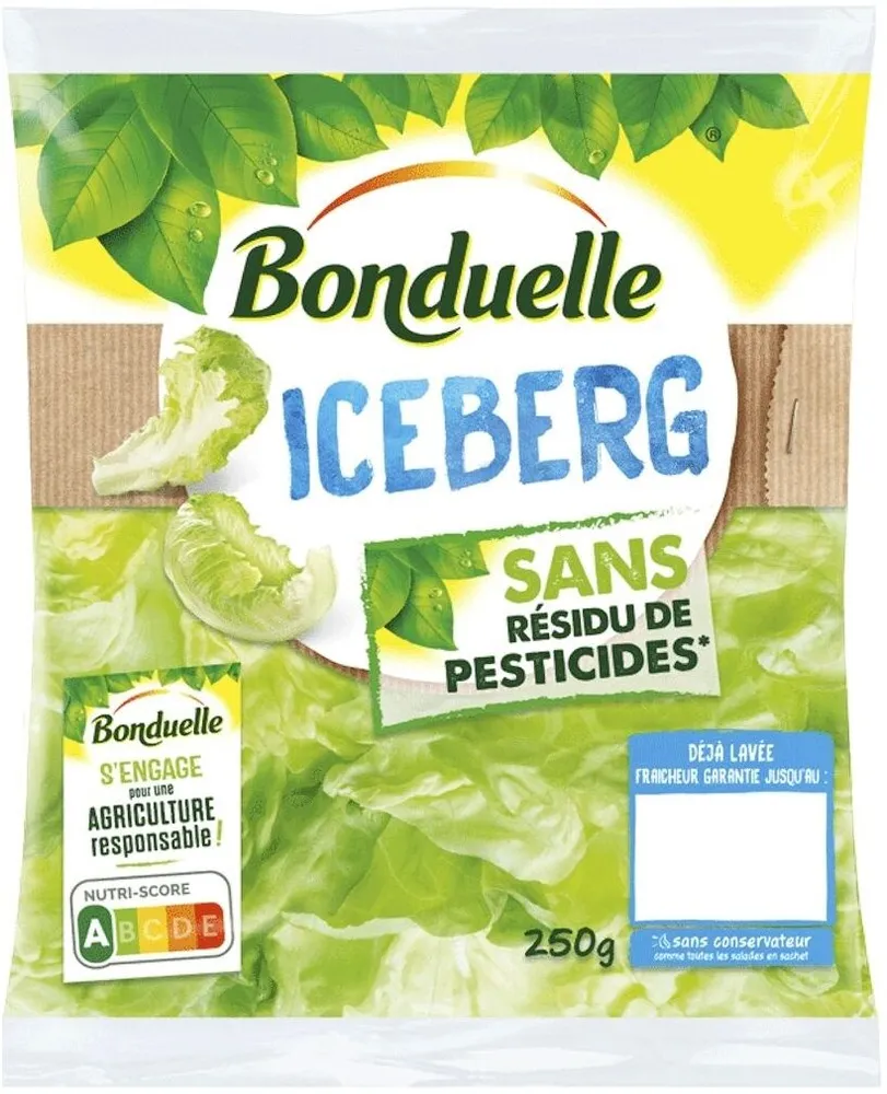 Iceberg sans résidu de pesticides