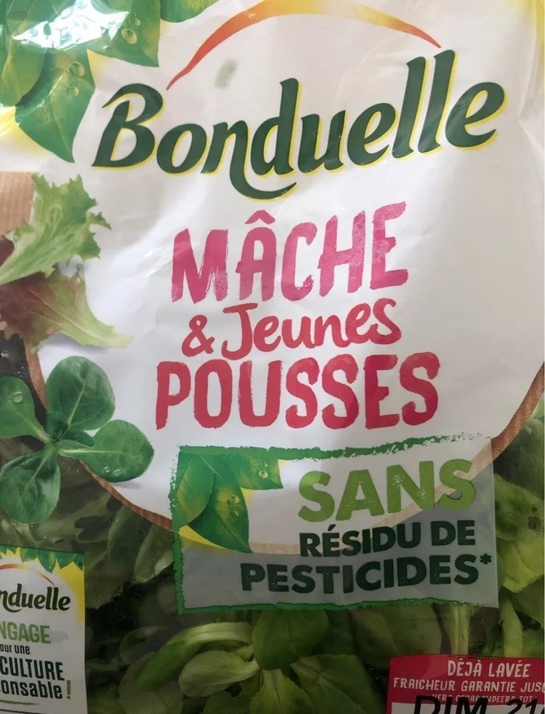Mâche et jeunes pousses