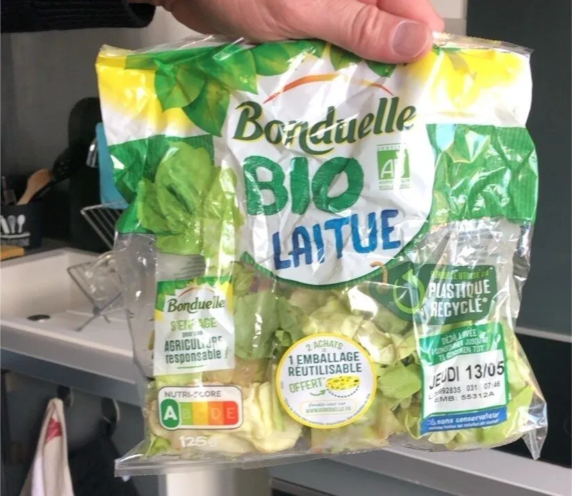 Salade bio laitue