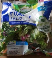 Fitness Salat