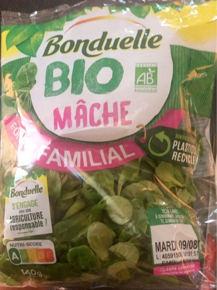 Mâche