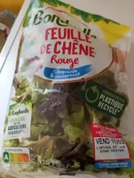 Feuille de chêne rouge