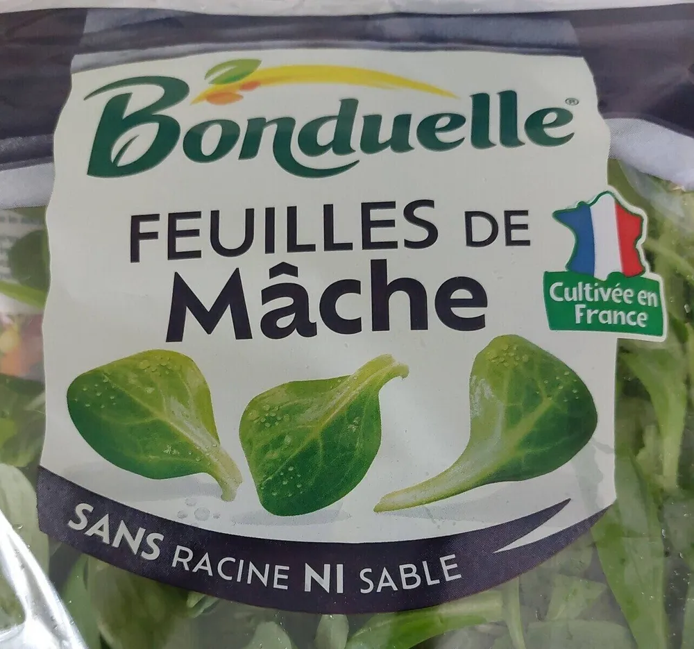 Feuilles de mâche