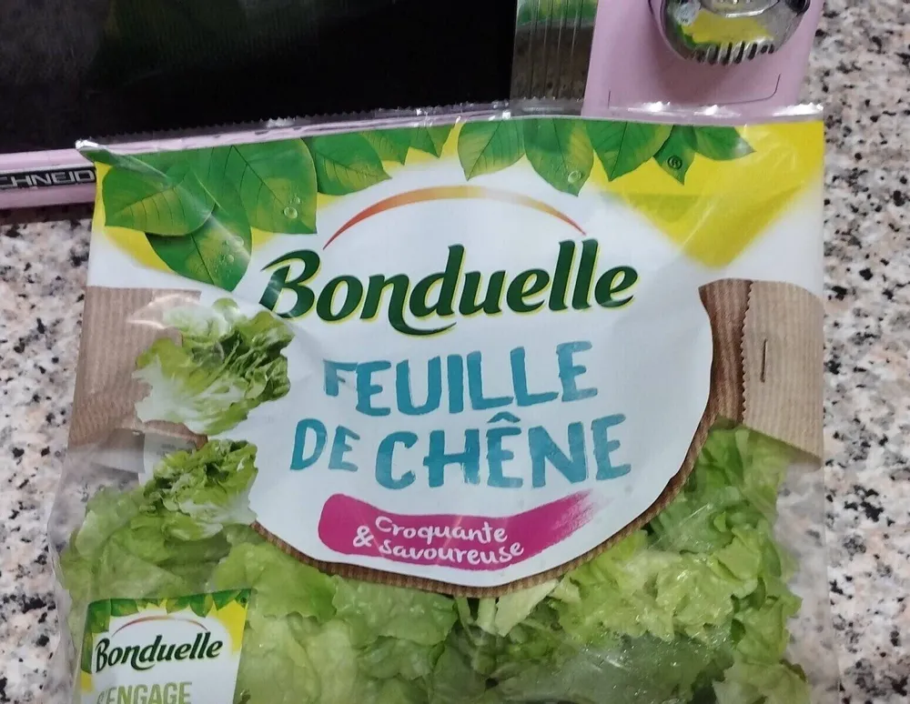 Feuille de chêne