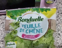 Feuille de chêne
